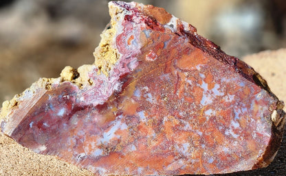 Rodeo Flats Red/Orange Moss Agate Slab