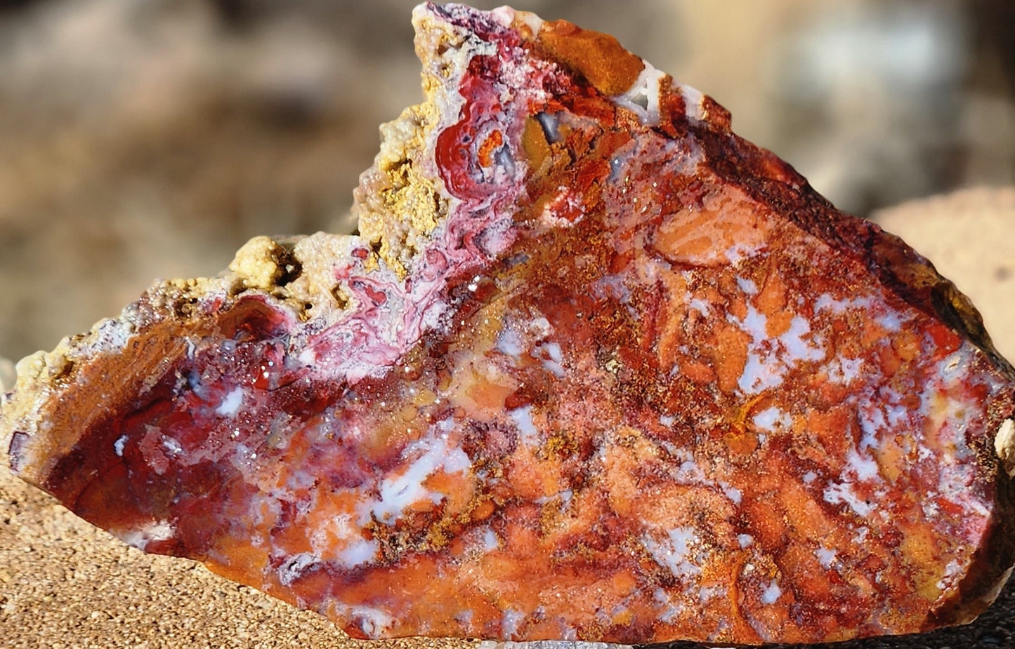 Rodeo Flats Red/Orange Moss Agate Slab