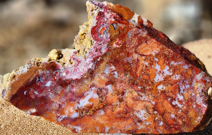 Rodeo Flats Red/Orange Moss Agate Slab