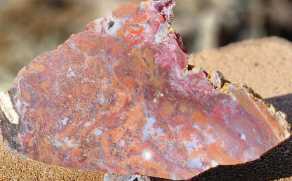 Rodeo Flats Red/Orange Moss Agate Slab