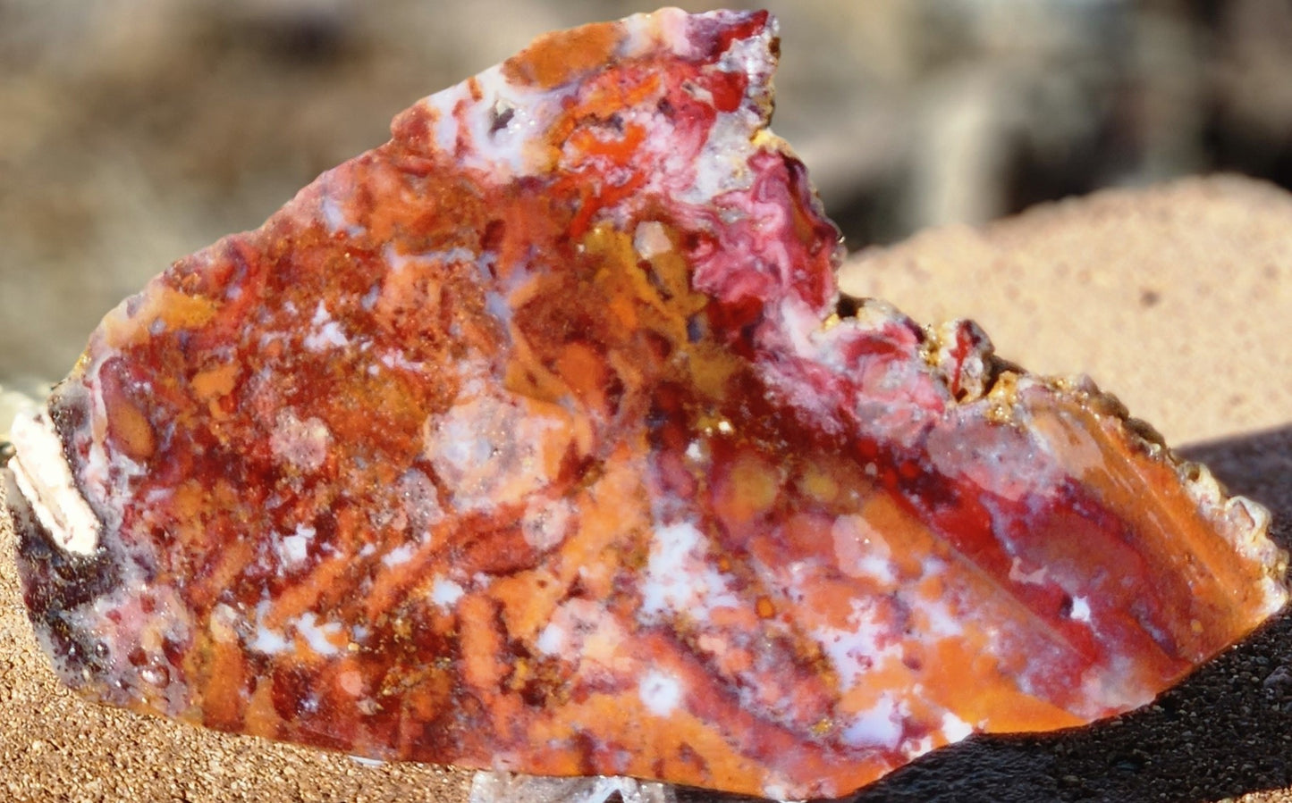 Rodeo Flats Red/Orange Moss Agate Slab