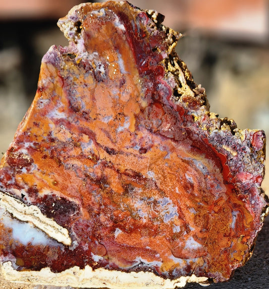 Rodeo Flats Red/Orange Moss Agate Slab