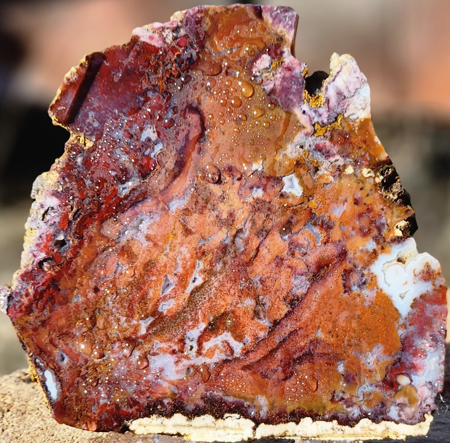 Losa de ágata musgosa roja/naranja de Rodeo Flats