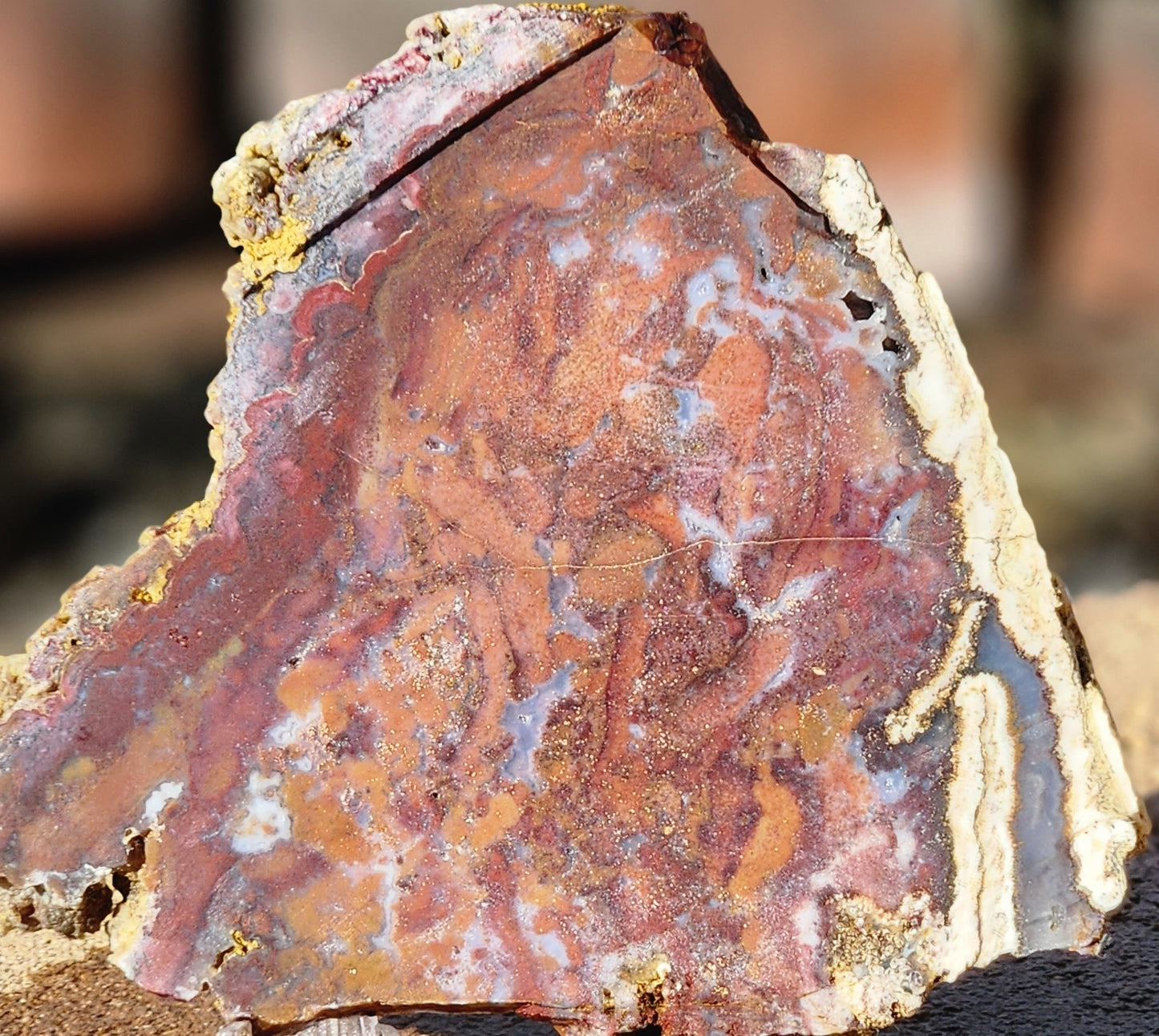 Rodeo Flats Red/Orange Moss Agate Slab