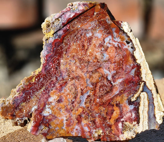 Rodeo Flats Red/Orange Moss Agate Slab