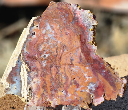 Rodeo Flats Red/Orange Moss Agate Slab