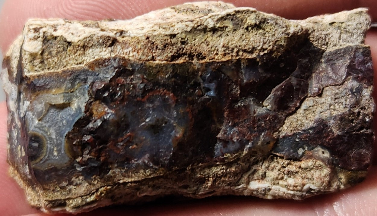 Rodeo Flats Blue Fortification Red Moss Agate Slab (End Piece)