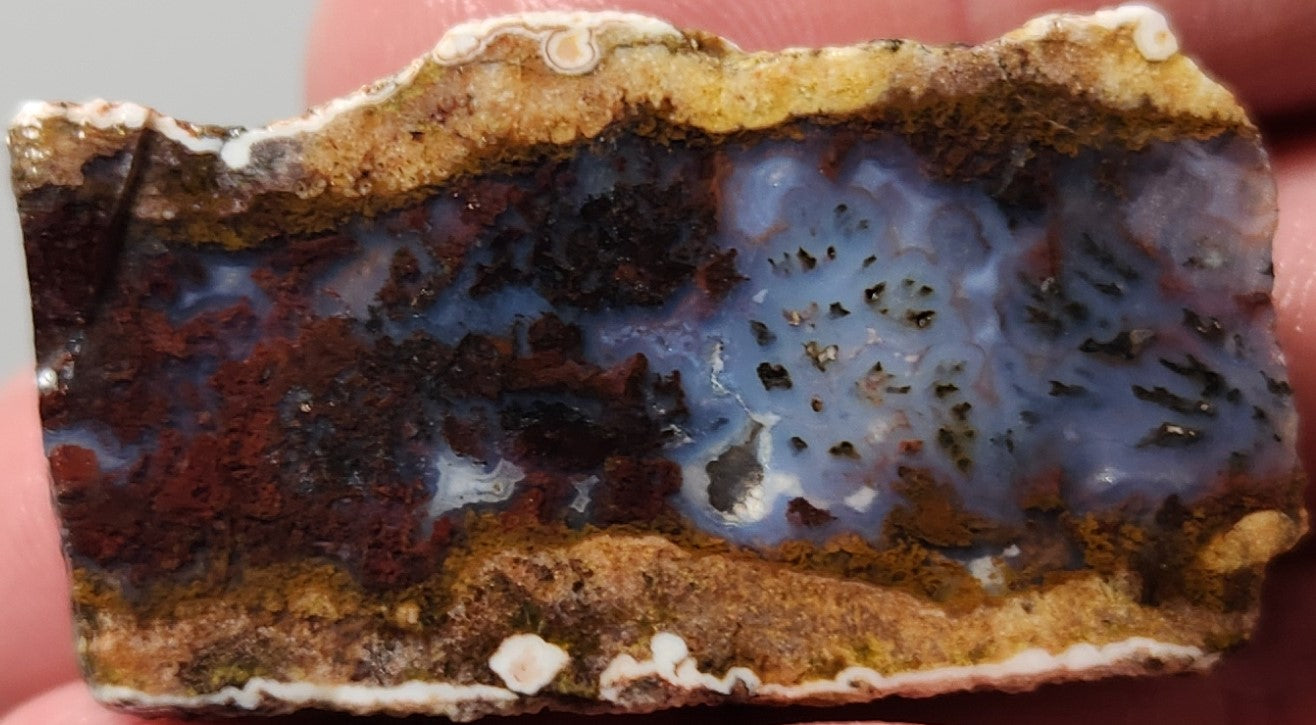 Rodeo Flats Blue Fortification Red Moss Agate Slab (End Piece)