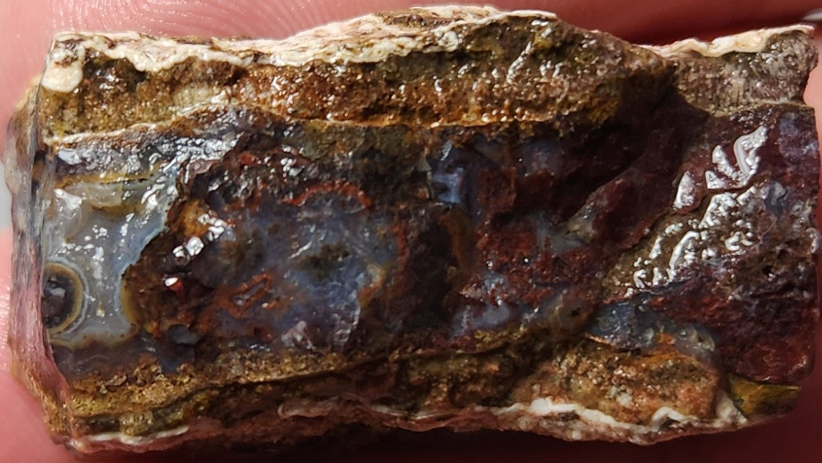 Rodeo Flats Blue Fortification Red Moss Agate Slab (End Piece)