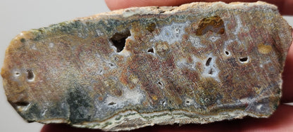 Rodeo Flats Dalle d’agate mousse rouge/orange (pièce d’extrémité)