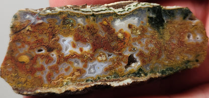 Rodeo Flats Dalle d’agate mousse rouge/orange (pièce d’extrémité)