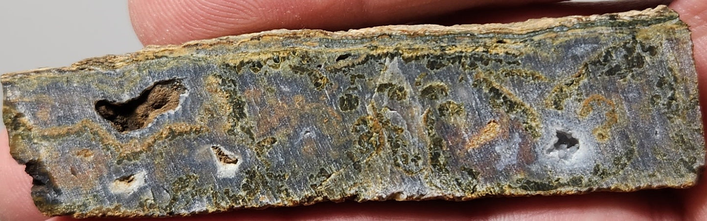 Rodeo Flats Green/Orange Moss Blue Fortification Agate Slab