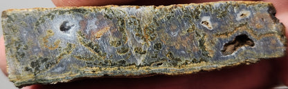 Rodeo Flats Green/Orange Moss Blue Fortification Agate Slab