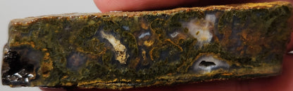 Rodeo Flats Green/Orange Moss Blue Fortification Agate Slab