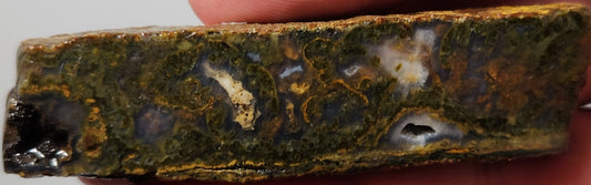 Rodeo Flats Green/Orange Moss Blue Fortification Agate Slab