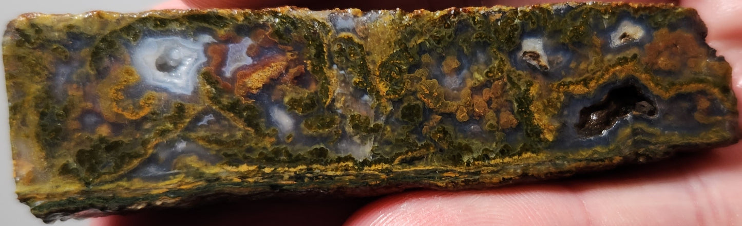 Rodeo Flats Green/Orange Moss Blue Fortification Agate Slab