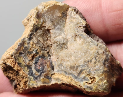 Rodeo Flats  Blue Fortification with Orange/Green Plume Agate Slab (End Piece)