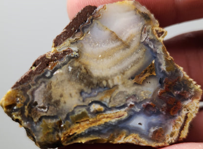 Rodeo Flats  Blue Fortification with Orange/Green Plume Agate Slab (End Piece)