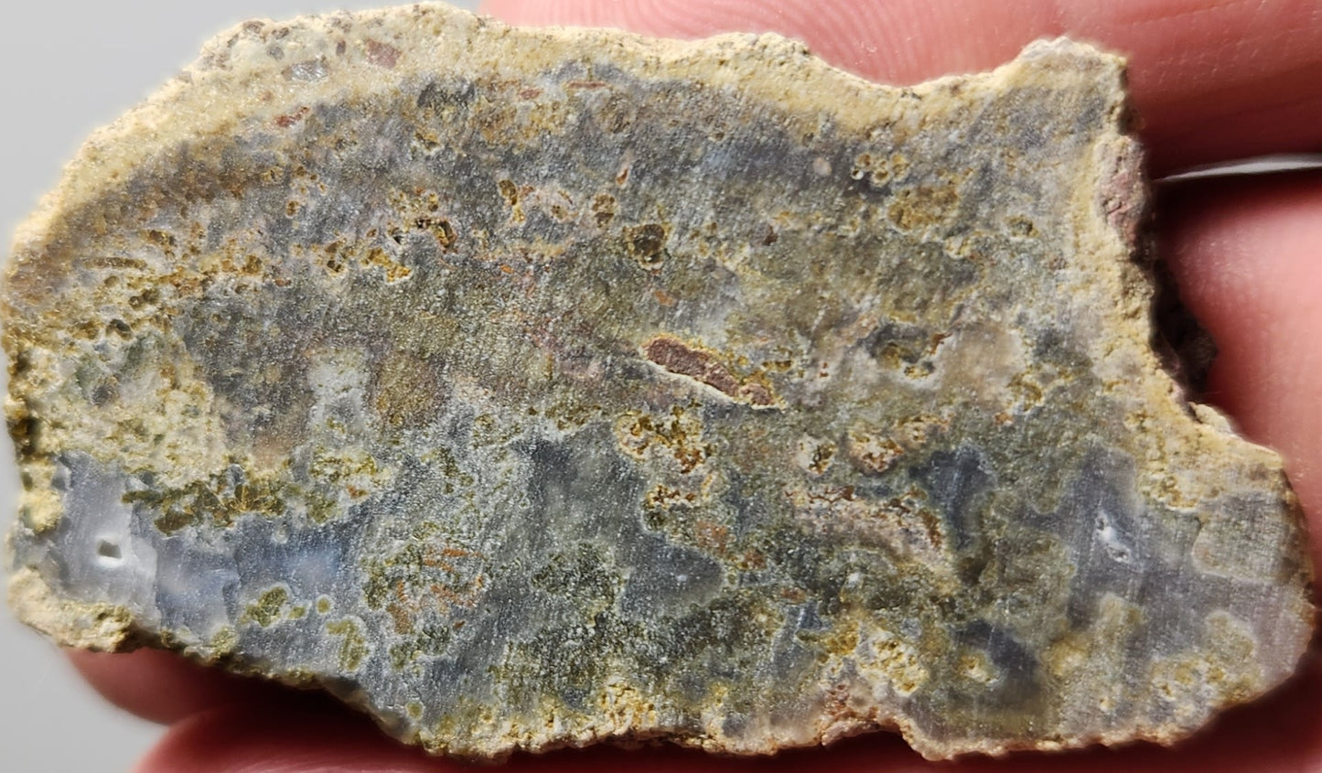 Rodeo Flats Green/Yellow Moss with Blue Fortification Agate Slab