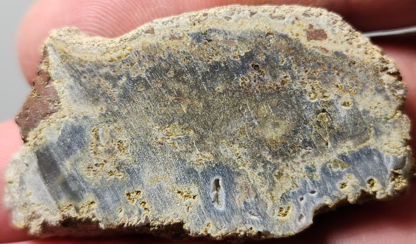 Rodeo Flats Green/Yellow Moss with Blue Fortification Agate Slab