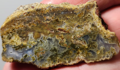 Rodeo Flats Green/Yellow Moss with Blue Fortification Agate Slab