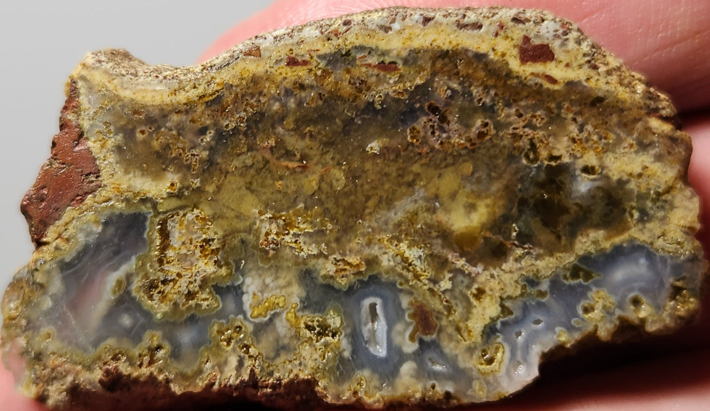 Rodeo Flats Green/Yellow Moss with Blue Fortification Agate Slab