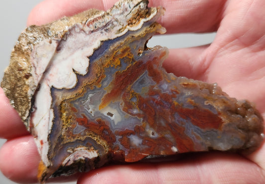 Rodeo Flats Blue Fortification with Red Plume and Onyx Agate Slab (End Piece)