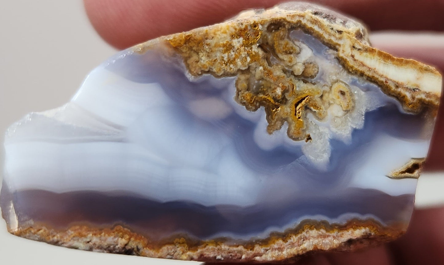 Polished Face Blue/White Fortification Agate