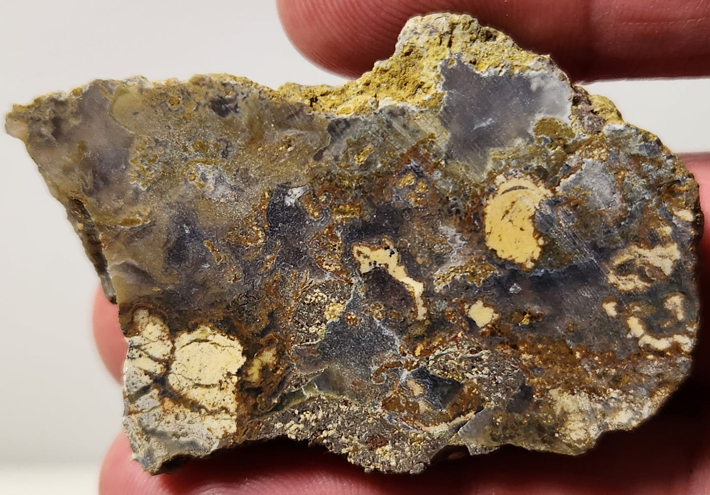 Bloody Basin Plume Agate Slab (End Piece)