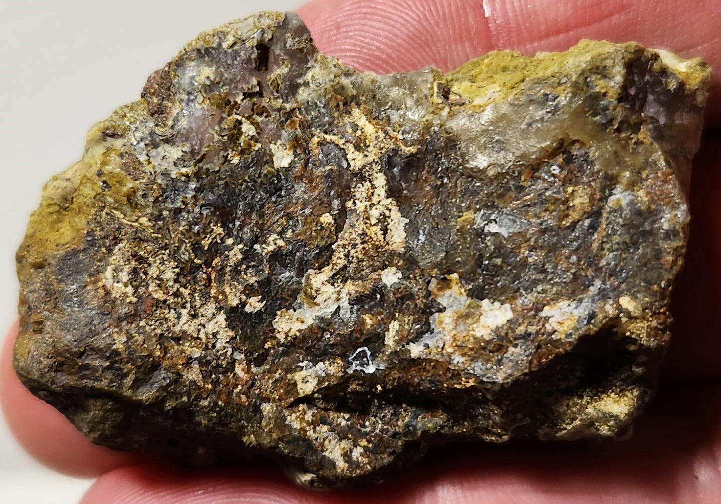 Bloody Basin Plume Agate Slab (End Piece)