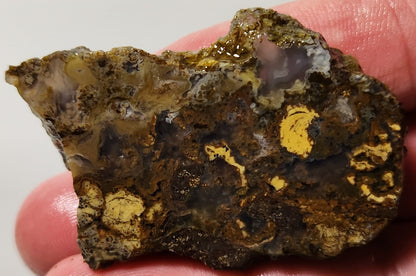 Bloody Basin Plume Agate Slab (End Piece)