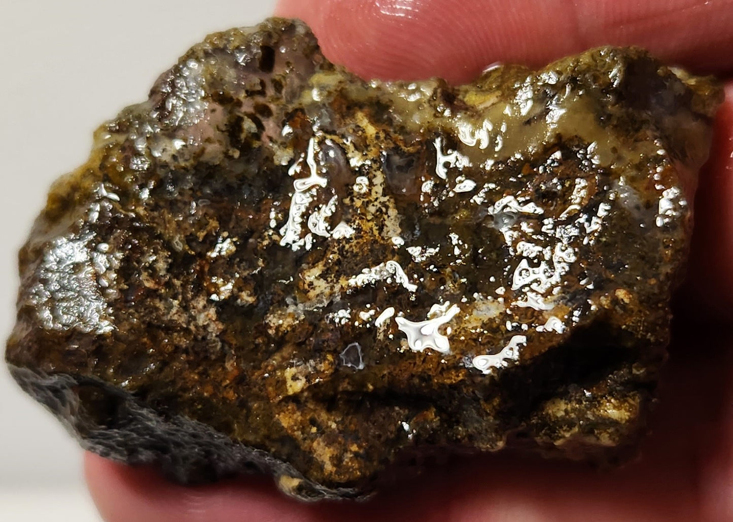 Bloody Basin Plume Agate Slab (End Piece)