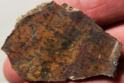 Bloody Basin Plume Agate Slab (End Piece)