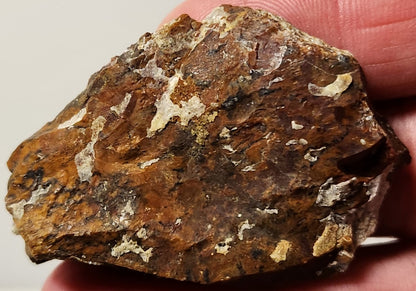 Bloody Basin Plume Agate Slab (End Piece)