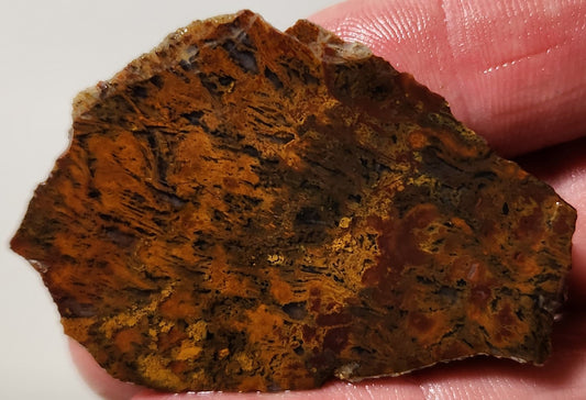 Bloody Basin Plume Agate Slab (End Piece)