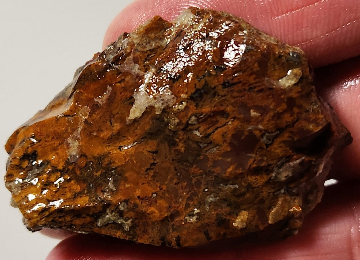 Bloody Basin Plume Agate Slab (End Piece)
