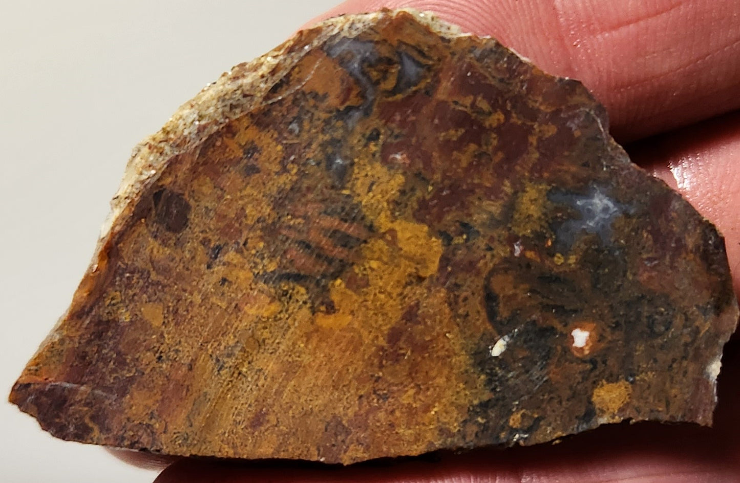 Bloody Basin Plume Agate Slab