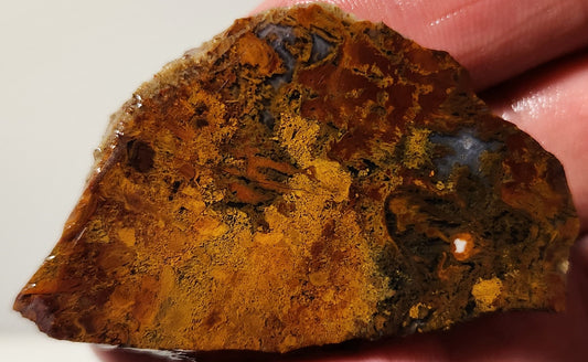Bloody Basin Plume Agate Slab