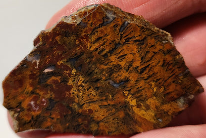 Bloody Basin Plume Agate Slab