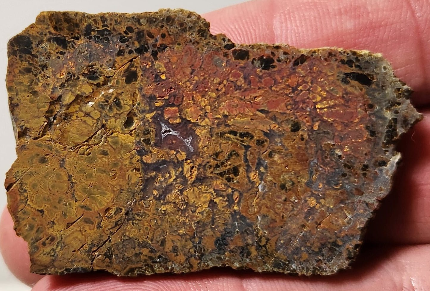 Bloody Basin Plume Agate Slab
