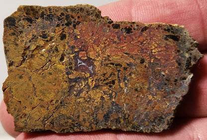 Bloody Basin Plume Agate Slab