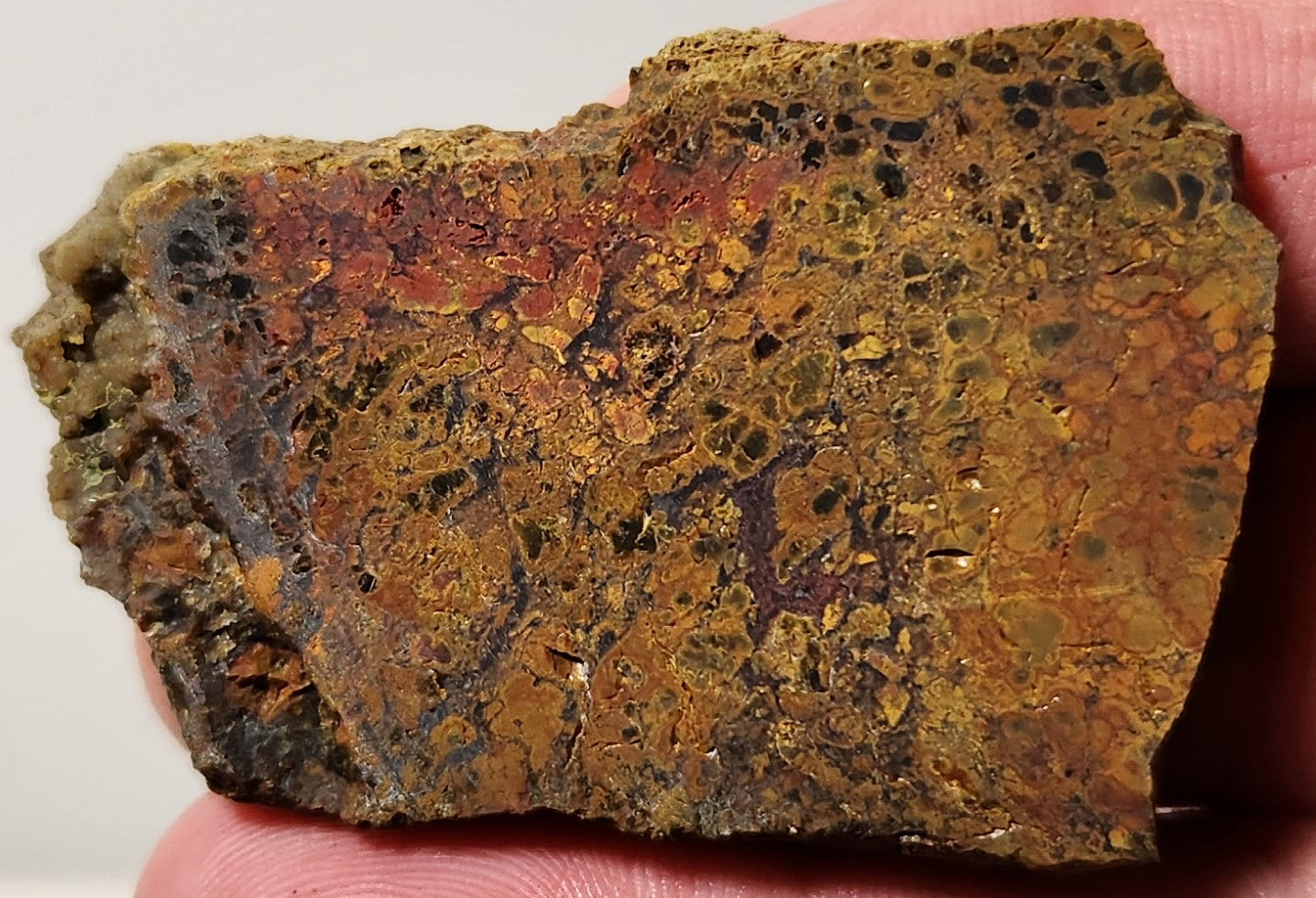 Bloody Basin Plume Agate Slab