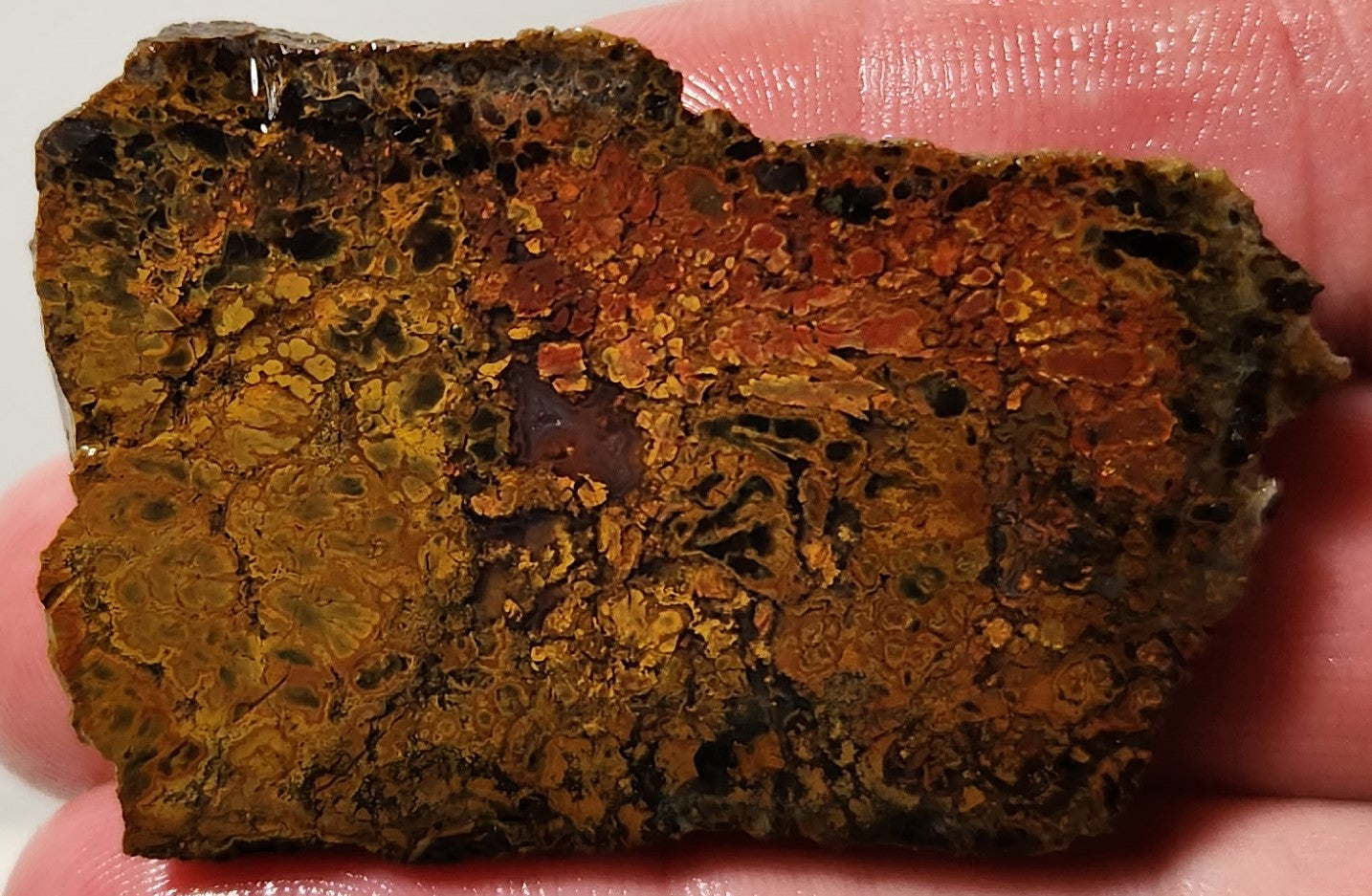 Bloody Basin Plume Agate Slab