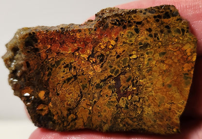 Bloody Basin Plume Agate Slab