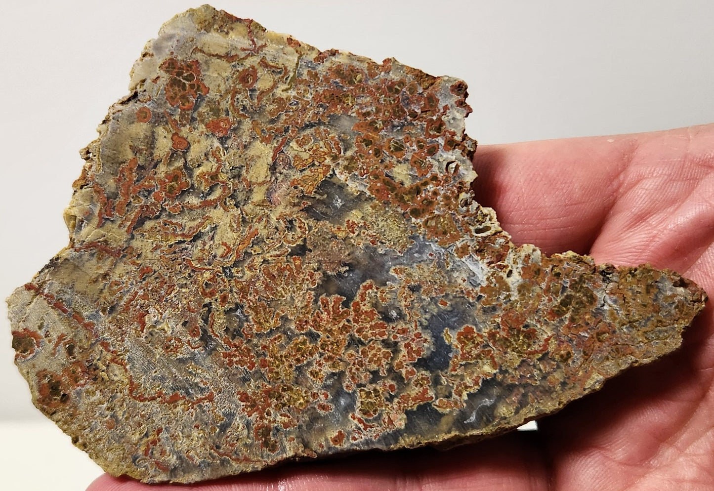 Bloody Basin Plume Agate Slab (End Piece)