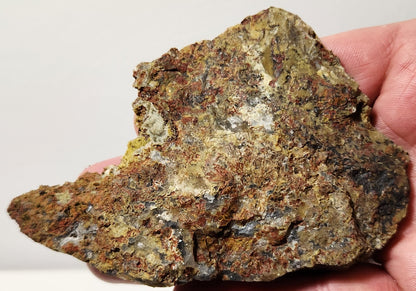 Bloody Basin Plume Agate Slab (End Piece)