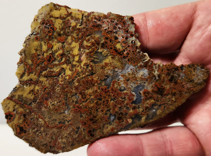 Bloody Basin Plume Agate Slab (End Piece)
