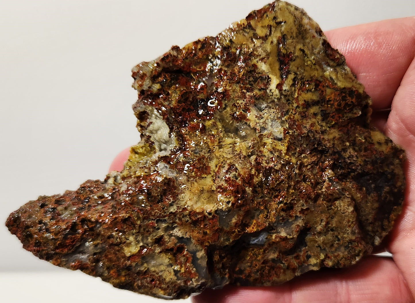 Bloody Basin Plume Agate Slab (End Piece)