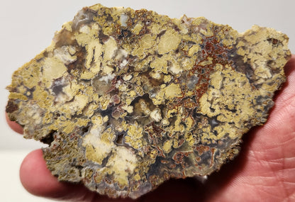 Bloody Basin Plume Agate Slab (End Piece)