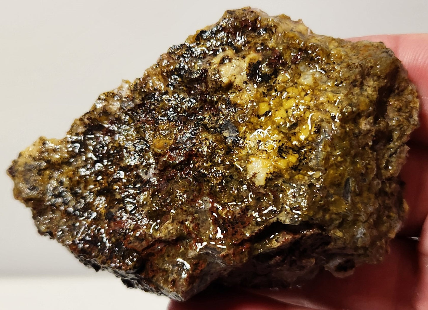 Bloody Basin Plume Agate Slab (End Piece)